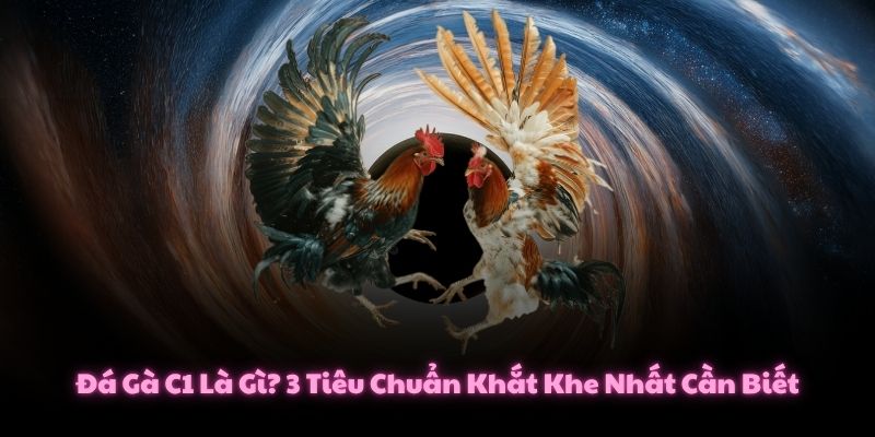 Đá Gà C1 Là Gì? 3 Tiêu Chuẩn Khắt Khe Nhất Cần Biết