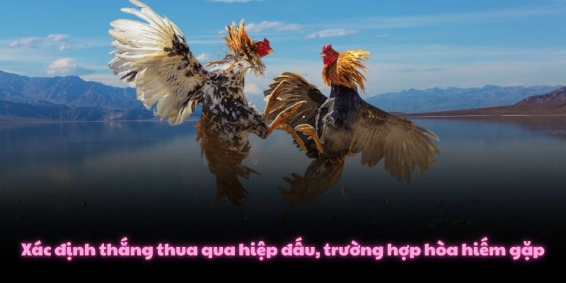 Xác định thắng thua qua hiệp đấu, trường hợp hòa hiếm gặp